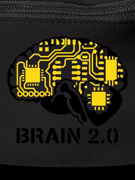brain 2.0