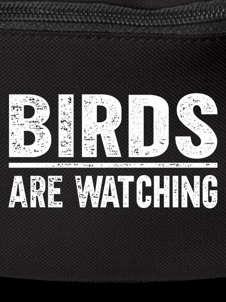 Les oiseaux observent