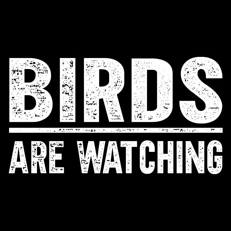 Les oiseaux observent