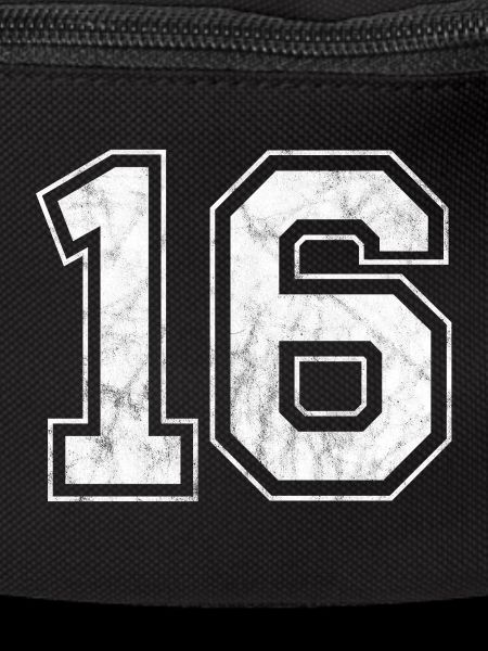 Number 16