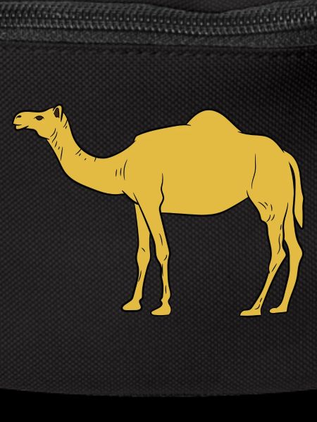 Camel / Dromedary - side view