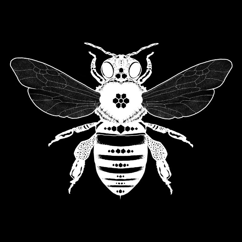 Insectes