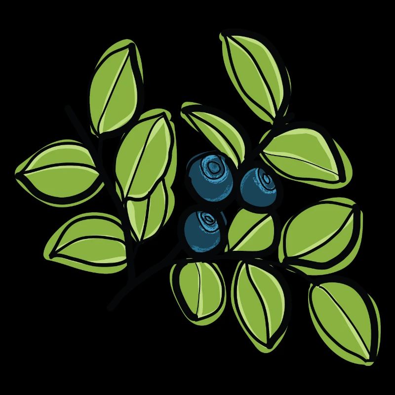 Bilberries