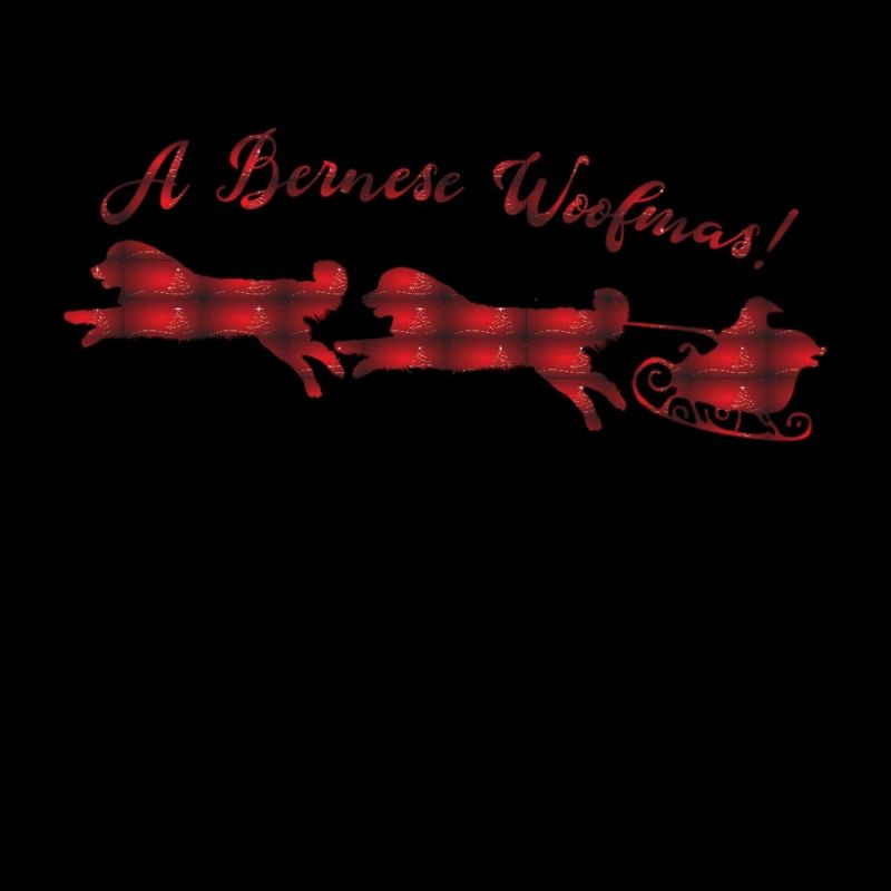 Noël du Bouvier Bernois