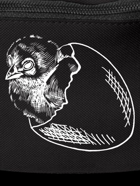 Chicks hatch egg