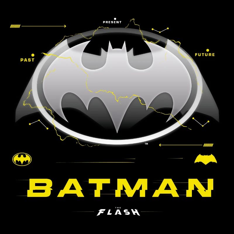 The Flash Klassisches Batman-Logo In Grau