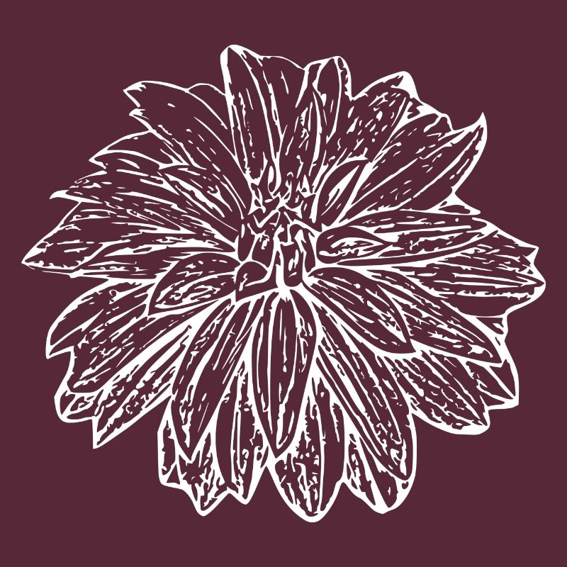 Fleur, Blanc, Fleur Blanche