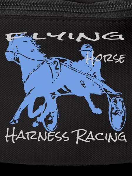 Course de trot trotteur