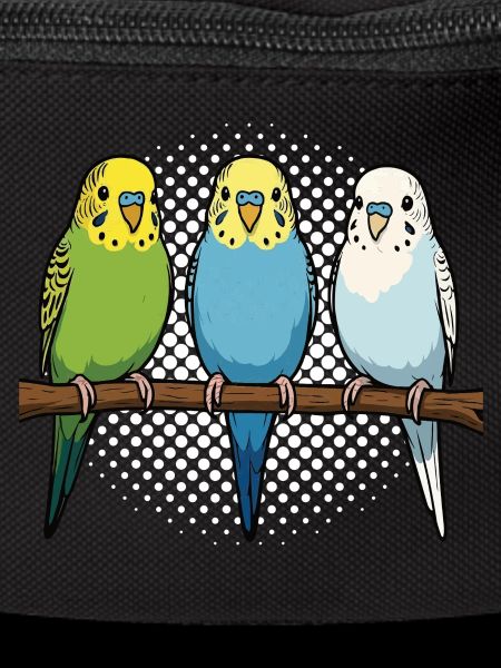 Budgerigars Budgie Owners Budgies