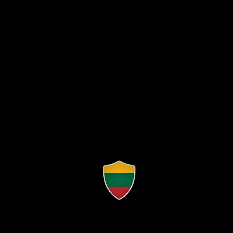 Litauische Flagge, Litauischer Stolz