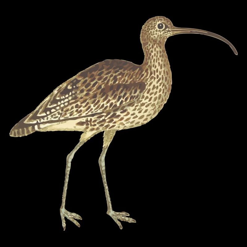 Vogel