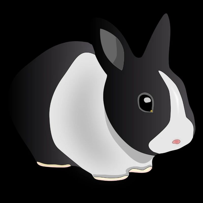 Hase