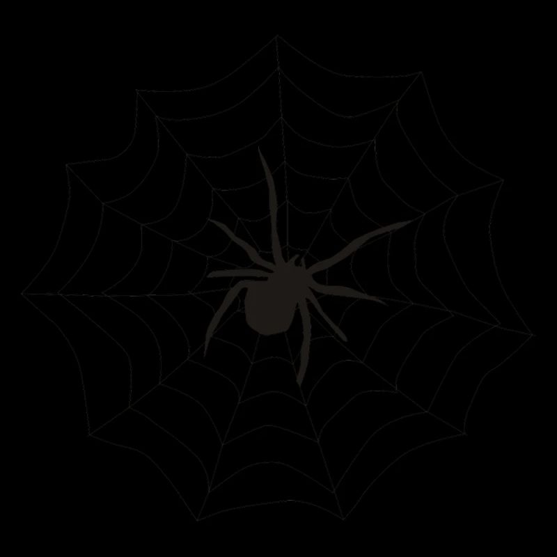 Spinne Netz