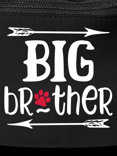 Big Brother Dog