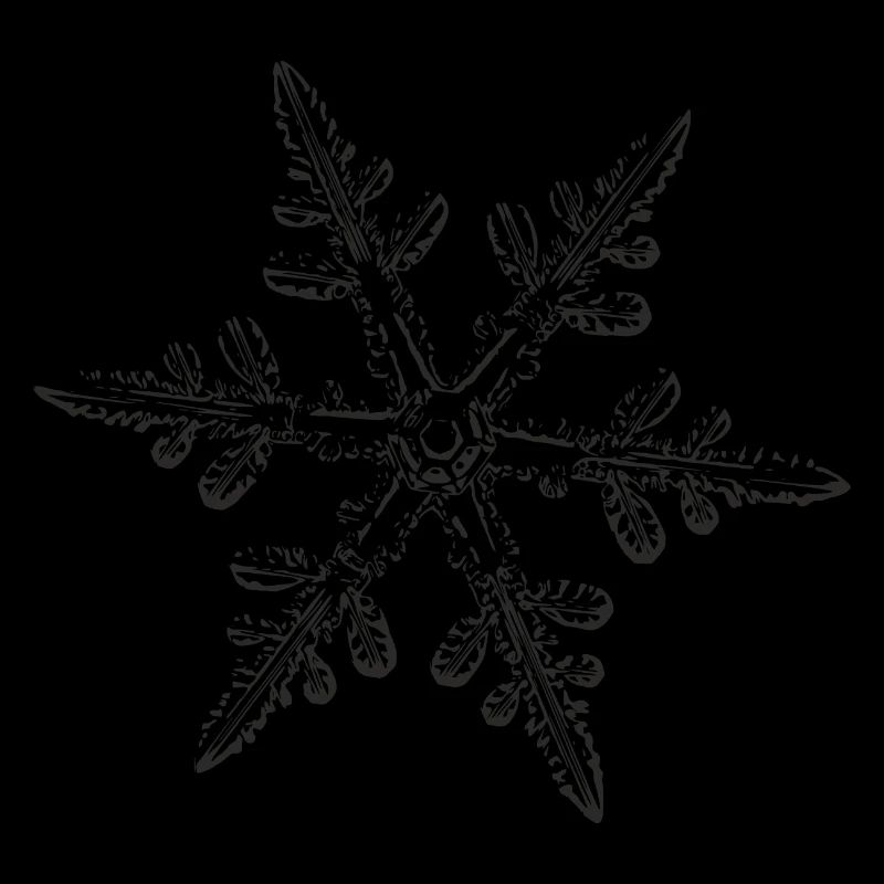 snowflake 8 black