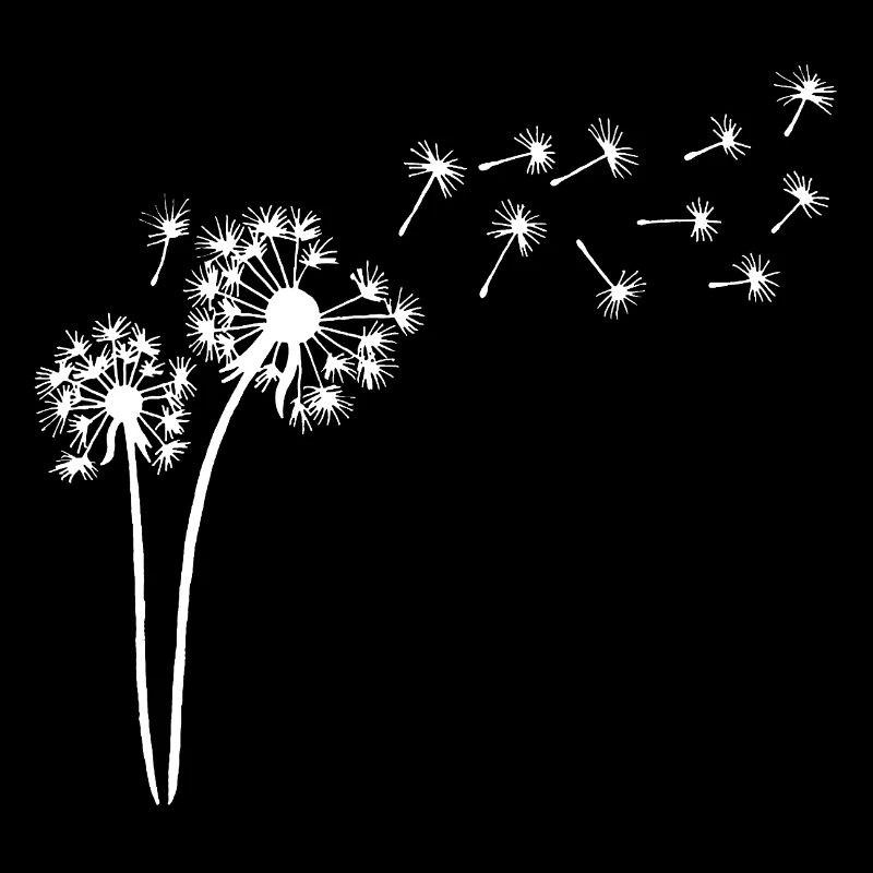 White dandelion in the wind