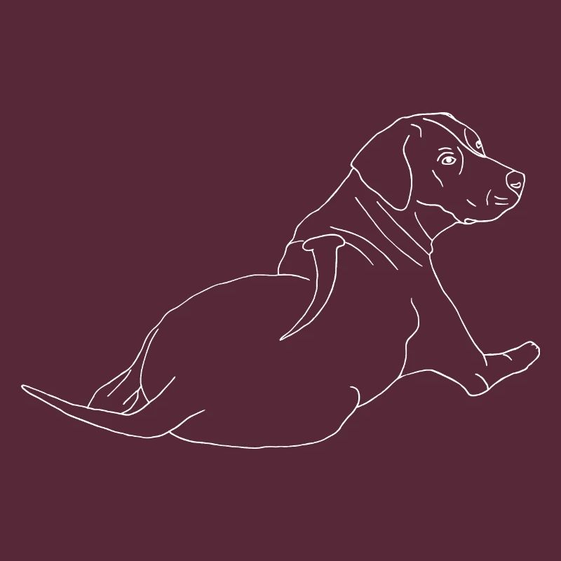 Rhodesian Ridgeback