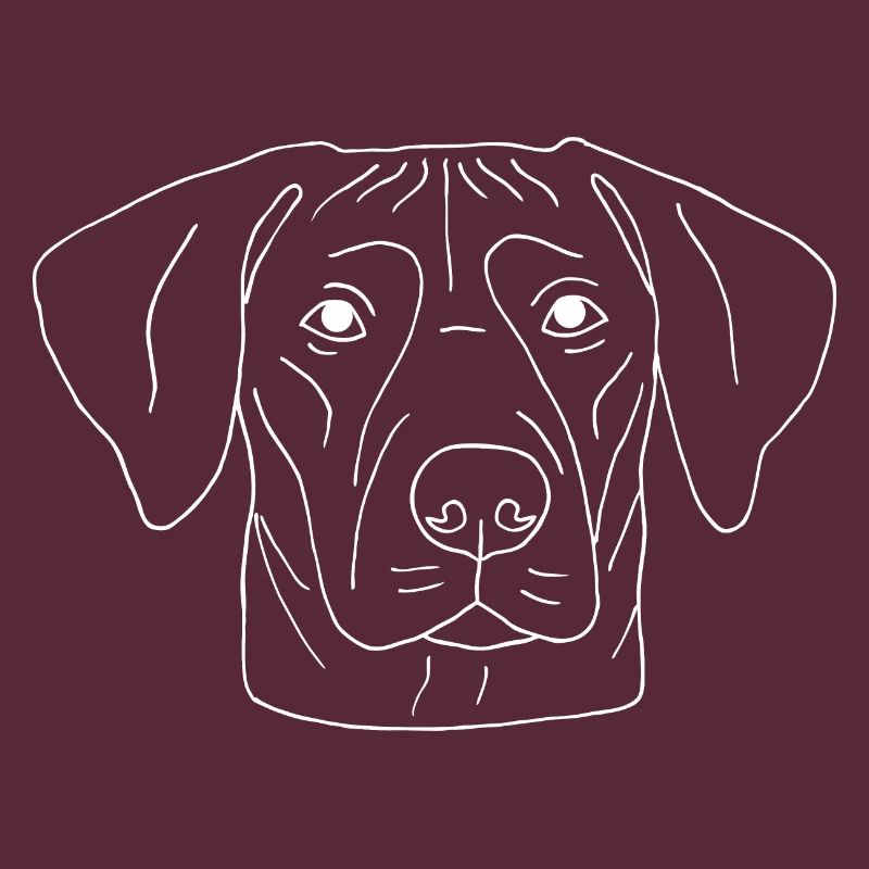 Rhodesian Ridgeback