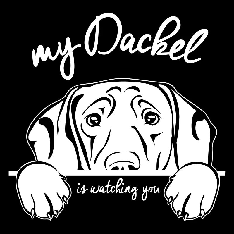 DACKEL regarder