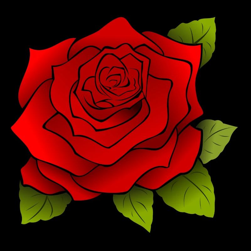 Mode rose motif!