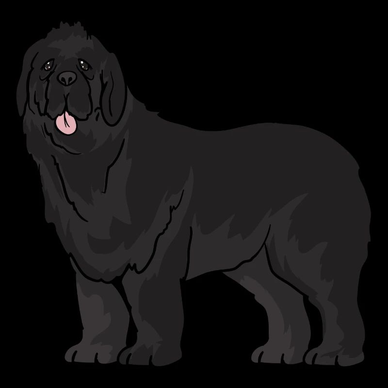 Newfoundland dog