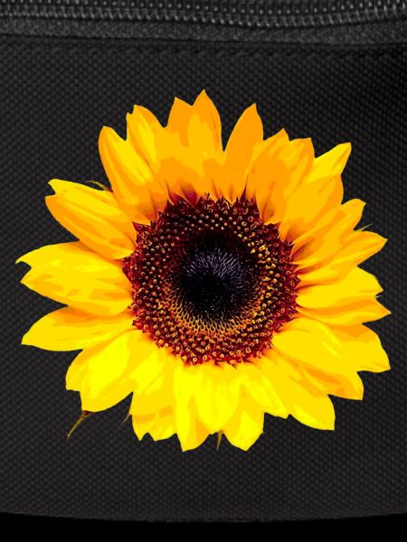 Sunflower / Sun Flower
