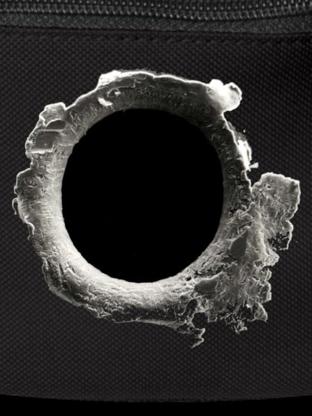 Gunshot