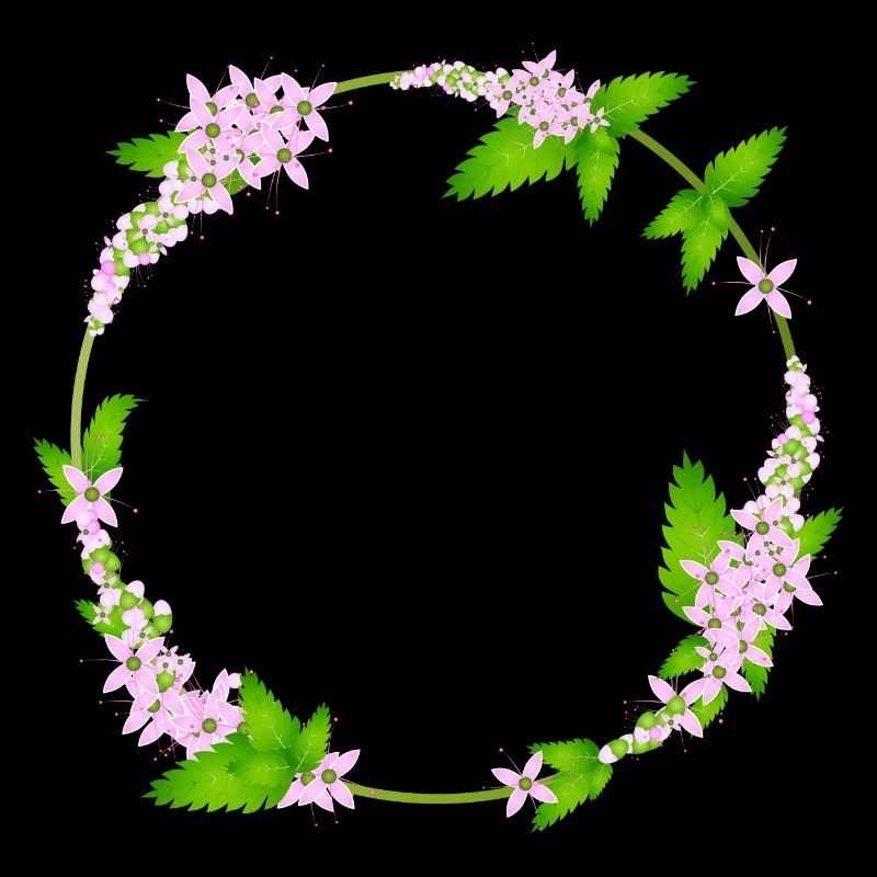 fresh mint leaves and mint flowers as a frame