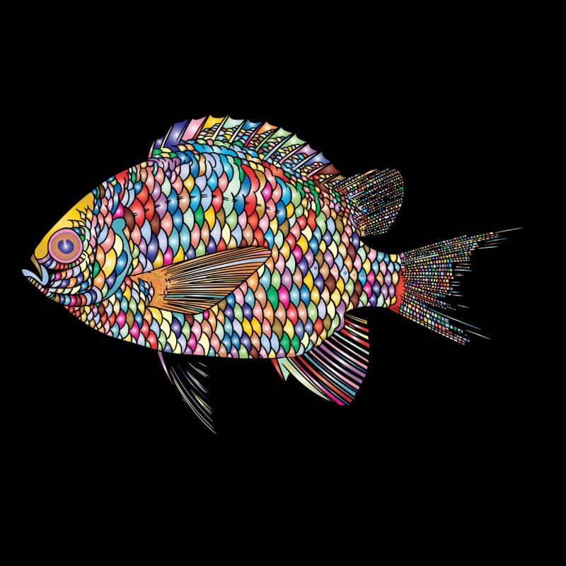 fish / fish