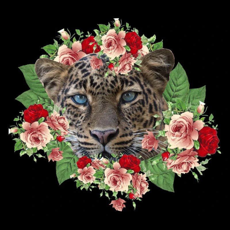 Leo The Cat