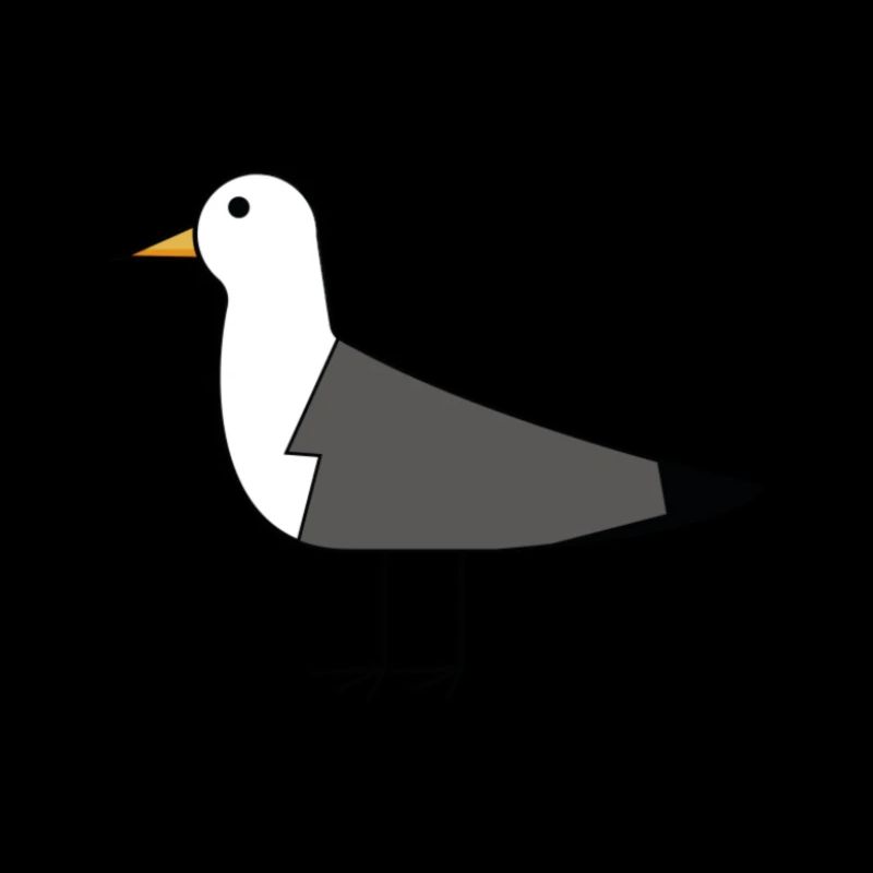 Möwe