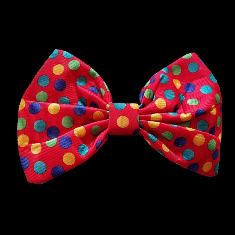 Clownfliege