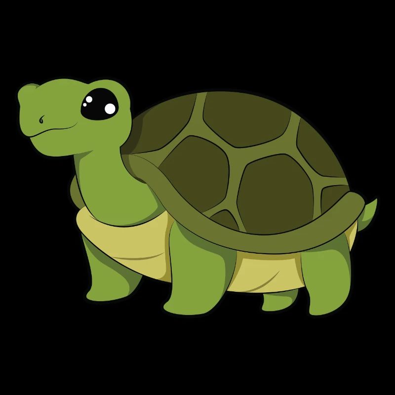 turtle