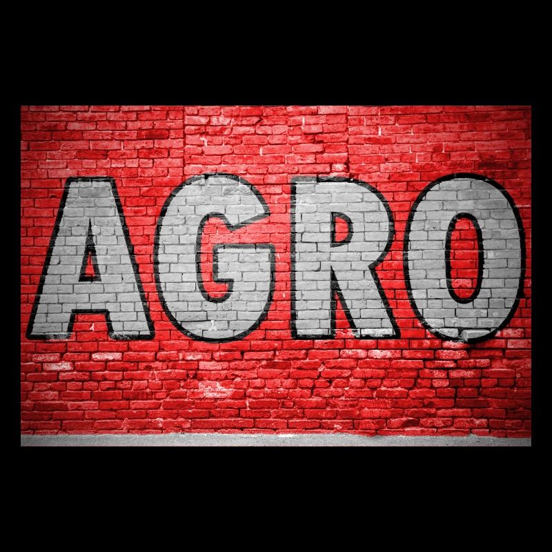 Agro Brick Wall Graffiti