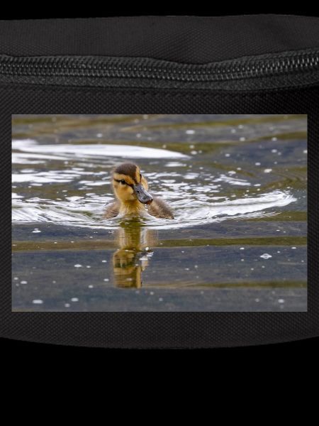 Duckling
