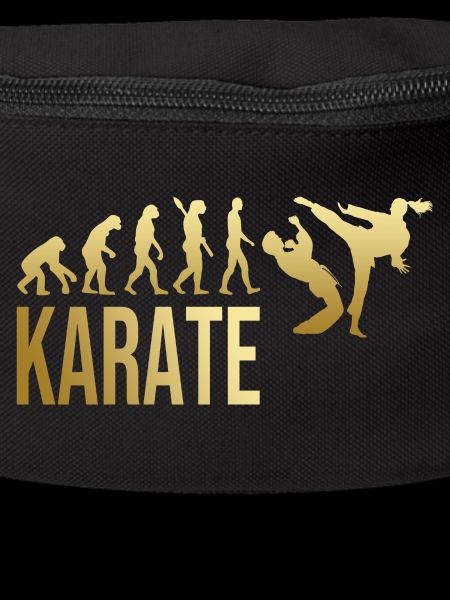 Evolution Karate