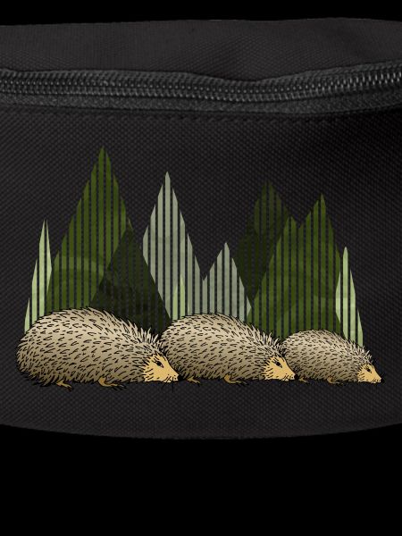 Hedgehogs