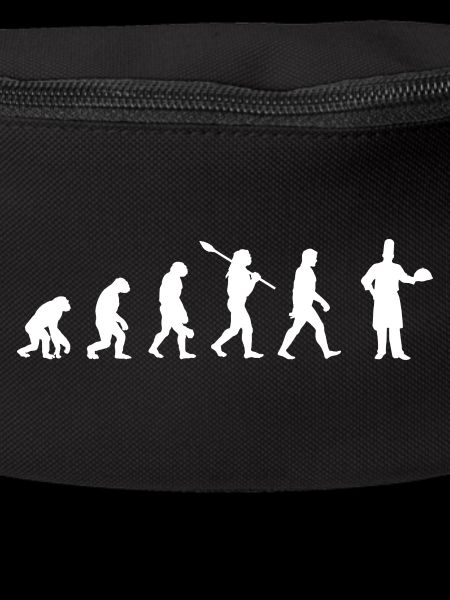 Koch - Evolution des Menschen / Darwin