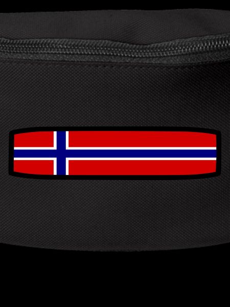 Norway flag