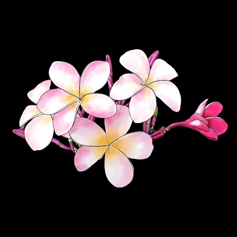 Frangipani flowers hand drawn