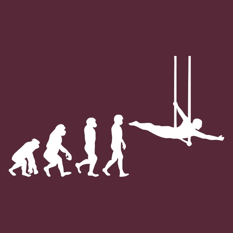 Flying Trapeze Artist Circus Gymnastics Evolution