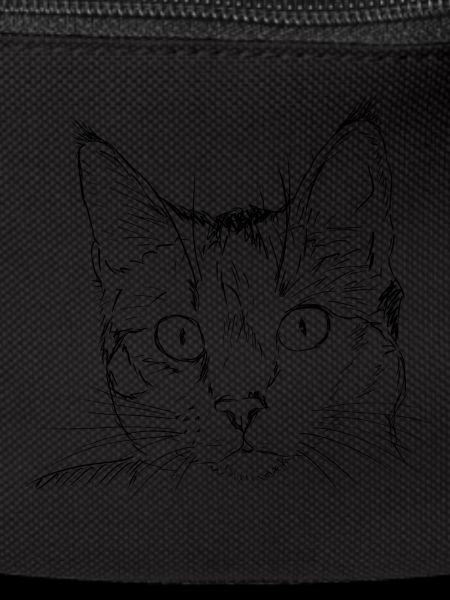 Cat drawing