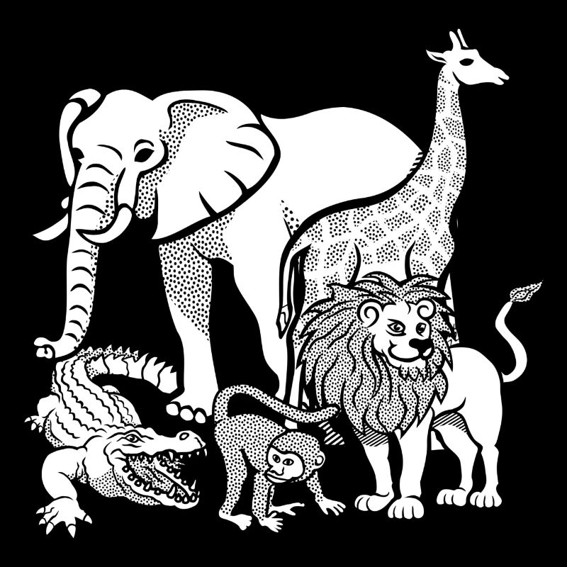 zoo