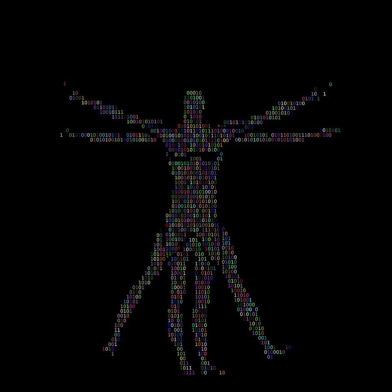 Da Vinci Programmeur Idée de cadeau