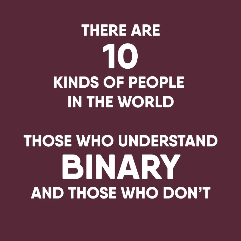 Programmer - Binary system