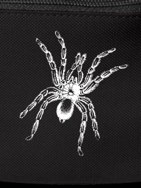 Spinne