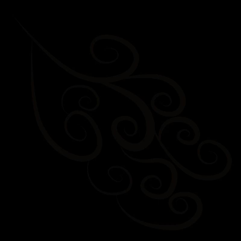 Pattern Spirals Black
