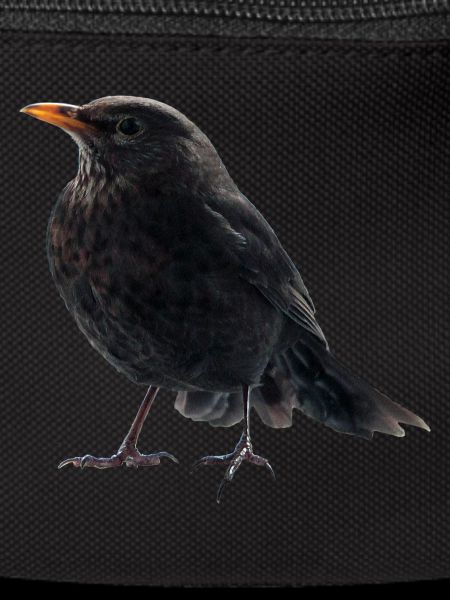 Blackbird throttle