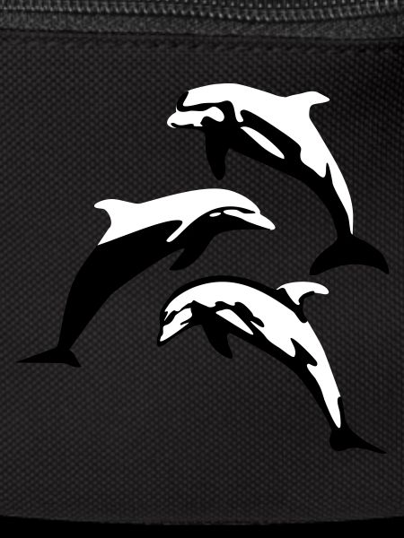 Dolphins