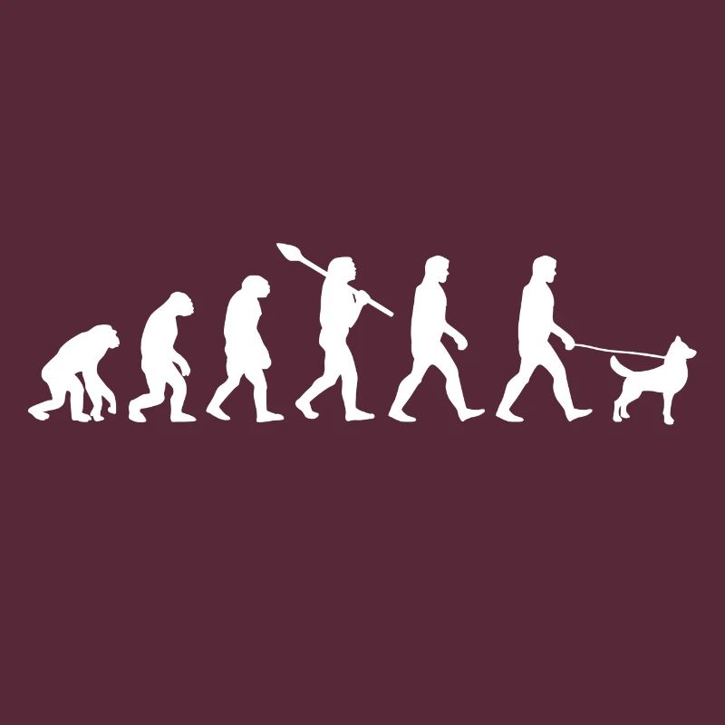 Cadeau de chien évolution chien